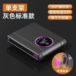 Shoe sterilizer